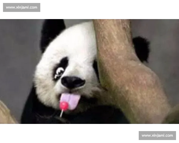 墨西哥为 35 岁大熊猫 “欣欣” 庆生 海外最长寿 “友谊大使” 迎百岁华诞