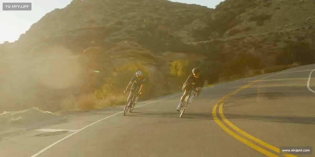 为什么选择我们